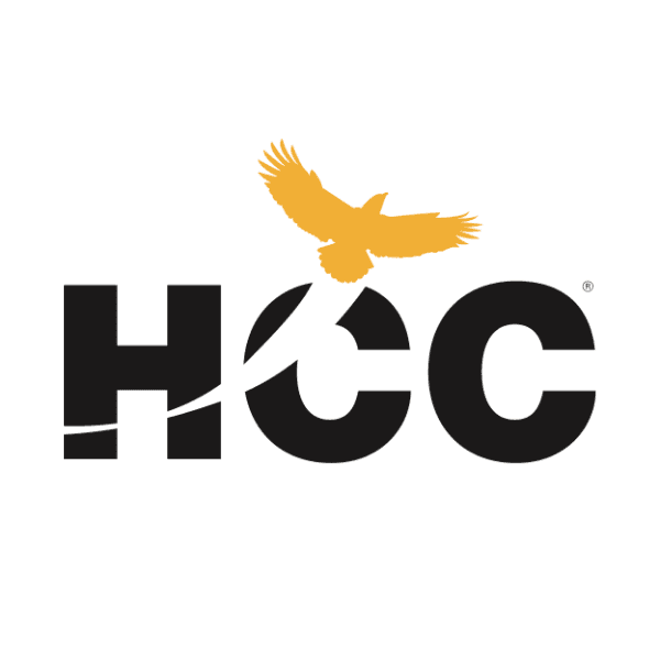 Houston City College